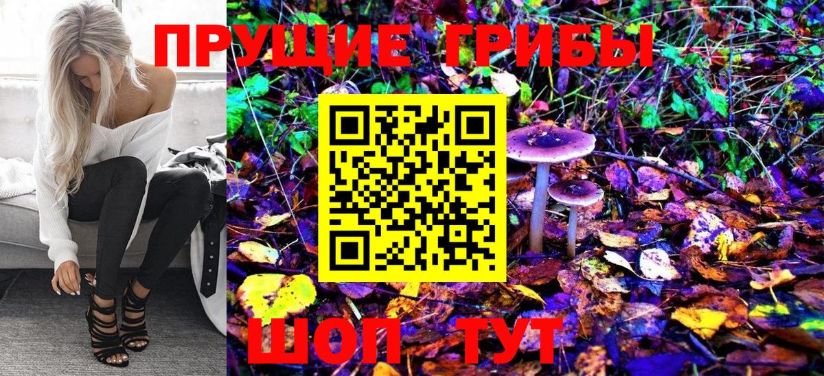 Псилоцибиновые грибы Magic Shrooms  Галлюциногенные грибы Magic Shrooms  Медногорск  Вход с VPN 